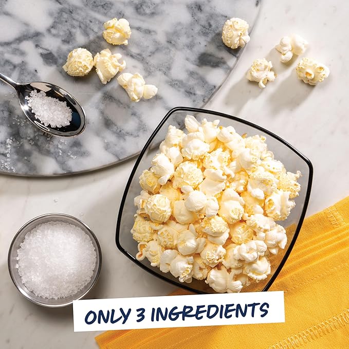 Garrett Popcorn Simply Salted, 4.0oz, 4 Bags, Light Salty Snack, Vegan, Gluten Free, Only 3