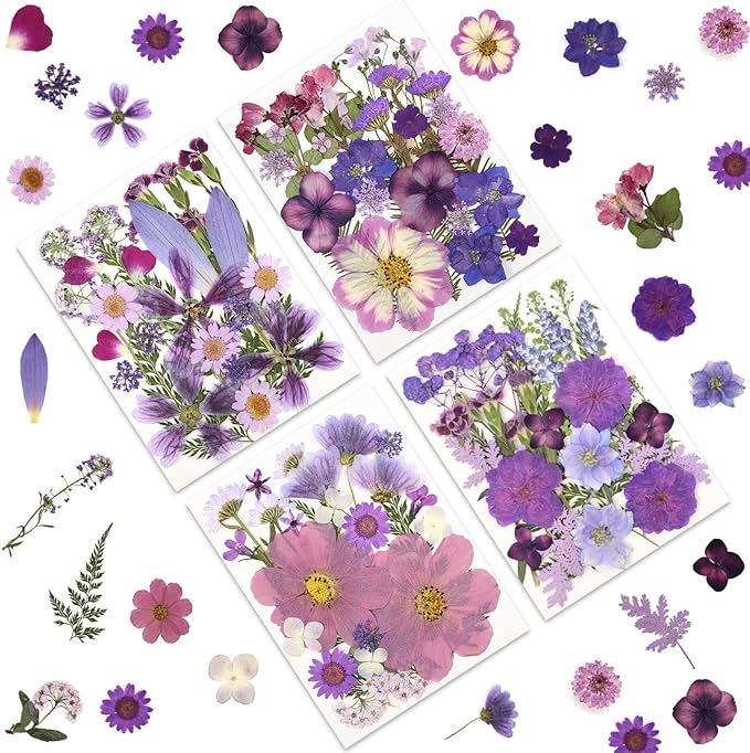 100P Purple Pressed Flowers – Real Dried Flowers for Crafts in Rich Violet Tones, Ideal for Resin