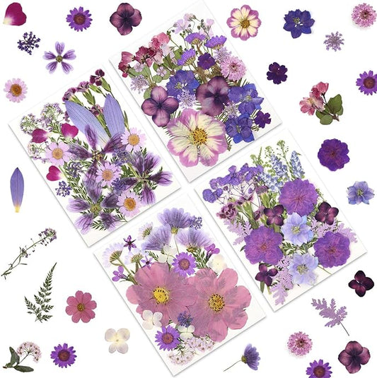 100P Purple Pressed Flowers – Real Dried Flowers for Crafts in Rich Violet Tones, Ideal for Resin