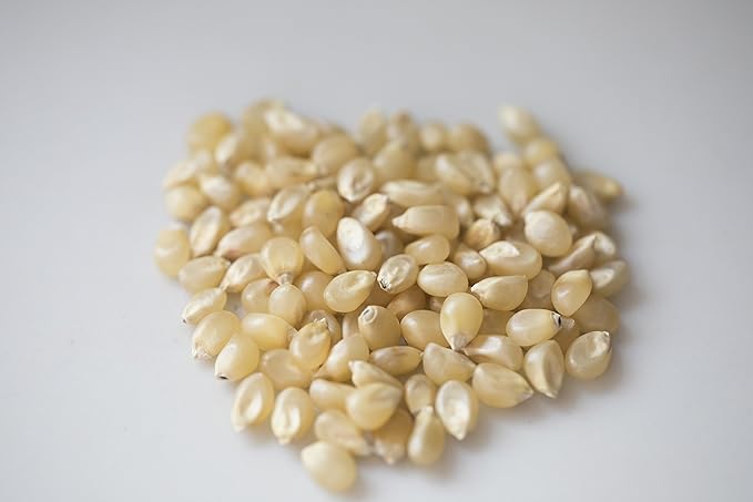 Amish Country Popcorn | 3-2 lb Bags | Medium White Popcorn Kernels | Old Fashioned, Non-GMO and