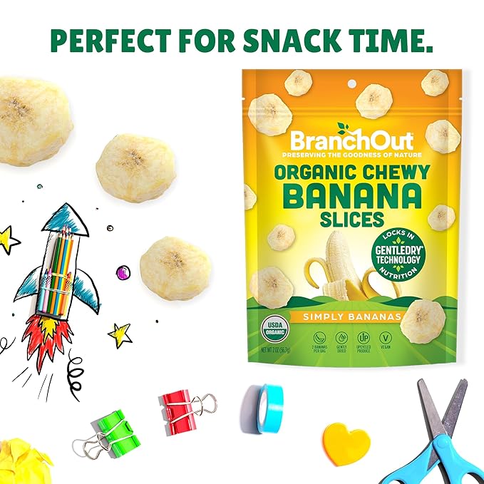 BranchOut Chewy Banana Slices, No Sugar Added, GentleDry Locks in Nutrition, Better than Freeze