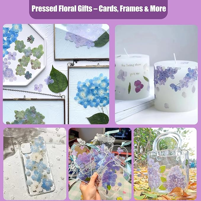 LUXEEASE 140 Pcs Dried Pressed Hydrangea Flowers for Crafts, Real Natural Blooms in Blue, Pink &