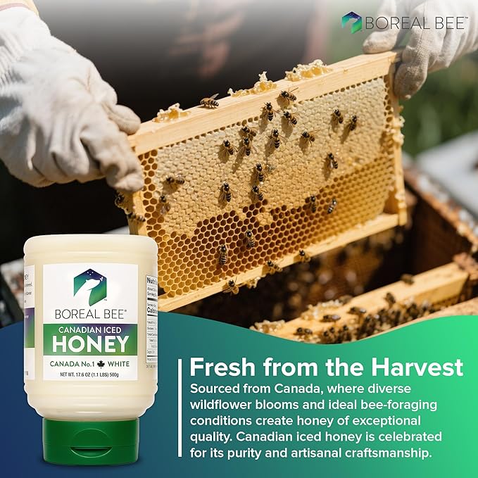 Boreal Bee Canadian Iced Honey – Smooth White Creamed Honey from Prairie Wildflowers Like Clover &