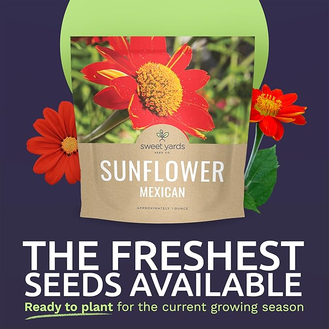 Mexican Sunflower Seeds – Extra Large Packet – Over 2,500 Open Pollinated Non-GMO Wildflower Seeds