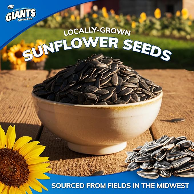 GIANTS Dill Pickle Sunflower Seeds - Sunflower Seeds Bulk, Big Sunflower Seeds to Eat, Roasted