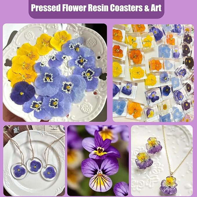 64 Pcs Dried Pressed Viola Flowers, 8 Color Gradient Purple Blue Yellow White, for Resin DIY Art