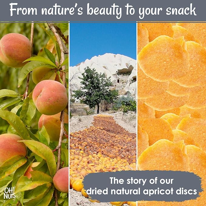 Oh! Nuts Dried Apricot Luscious Natural - 1 lb - Dried Fruit Discs - Sweetened Thin Apricot Slices
