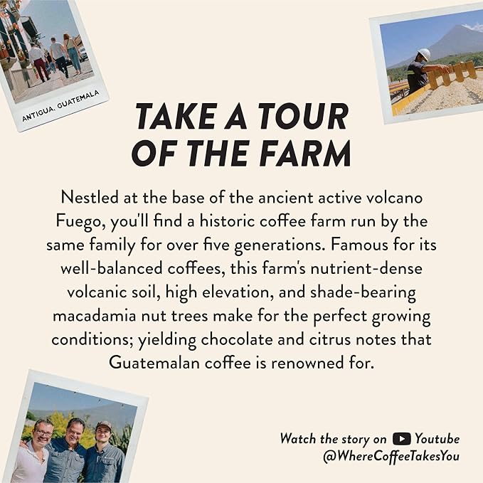 Angelino's Coffee Breakfast in Antigua Coffee Pods - Breakfast Blend Coffee K Cups Compatible