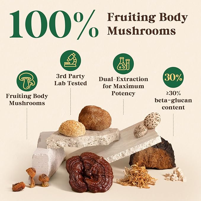 Fidus 16 Mushroom Supplement Powder with 17,300mg, 90 Servings Mushroom Coffee Alternative for