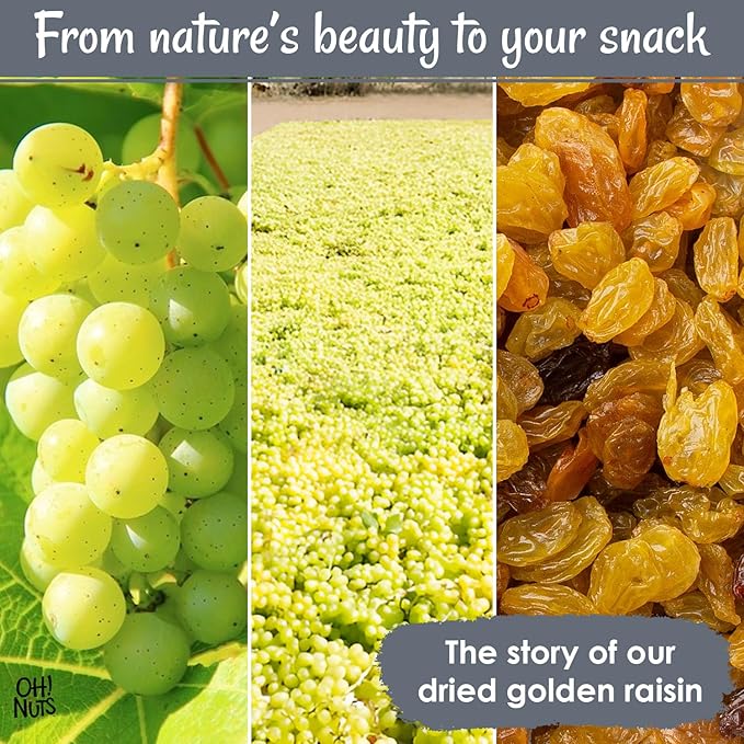 Oh! Nuts Golden Raisins - Sun Dried Fruit - 2 lb - No Sugar Added - Dehydrated Fruit Bites - Packed