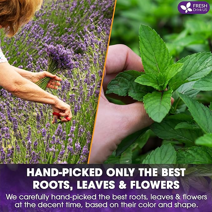 FreshDrinkUS, Premium 35 Tea Bags Lavender Mint Tea, 100% Natural, Blend of Lavender, Peppermint