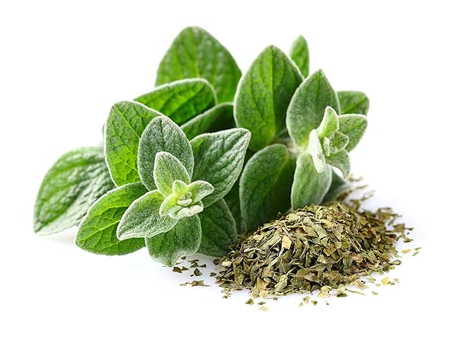 US Organic 100% Pure Oregano Essential Oil - USDA Certified Organic, Steam Distilled (30 ml)