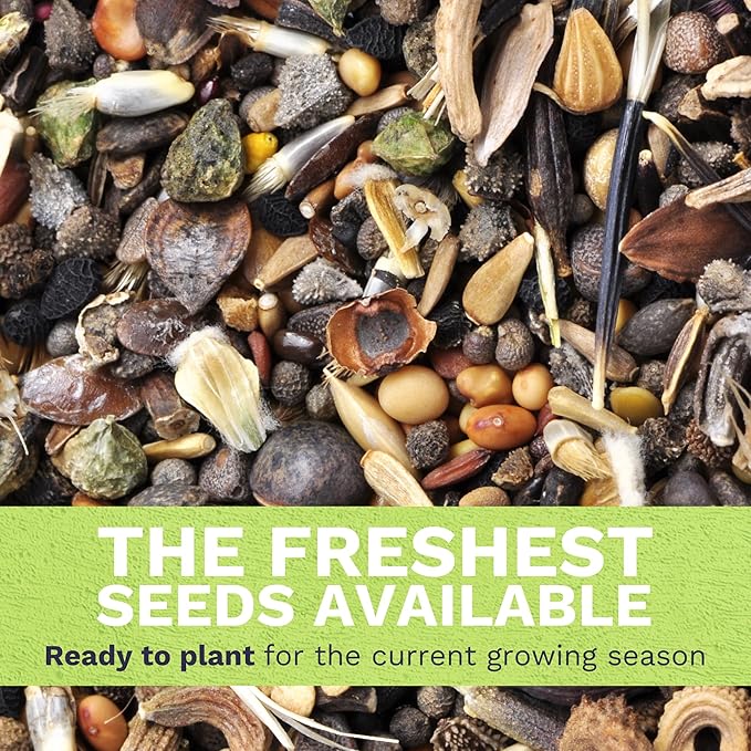 Pacific Northwest Regional Mix - Large 1 Ounce Packet - 24,000 Flower Seeds for Planting