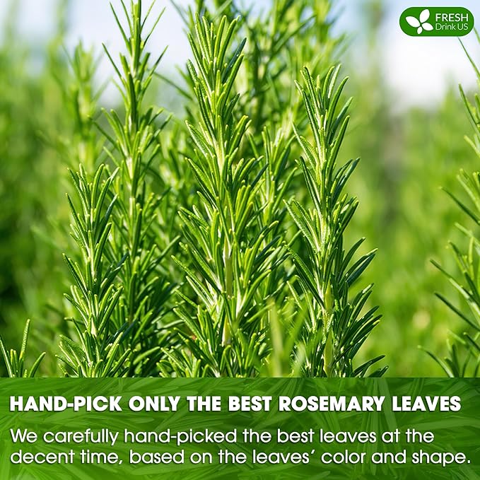 FreshDrinkUS Premium Rosemary Leaf Tea Bags - 75 Count, 100% Natural Dried Leaves, Pure Herbal Tea
