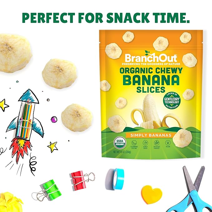 BranchOut Chewy Banana Slices, No Sugar Added, GentleDry Locks in Nutrition, Better than Freeze
