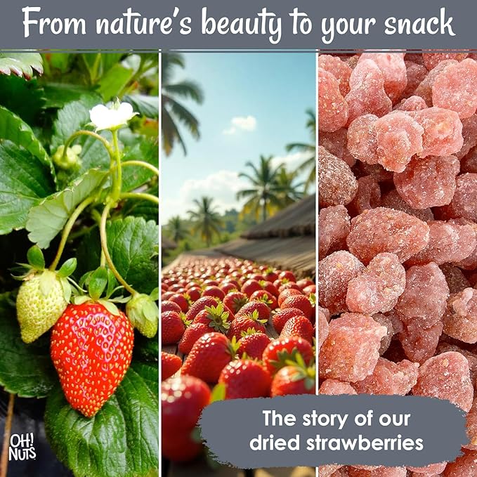 Oh! Nuts Dried Strawberries - 1 LB - Sweetened Dried Fruit - Dehydrated Fruit Bites - Packed in New