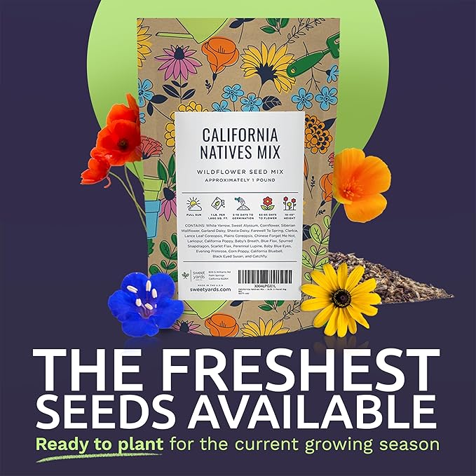 California Natives Mix - Bulk 1 Pound Bag - Over 120,000 Native Seeds - Open Pollinated and Non GMO