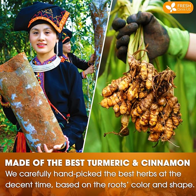 FreshDrinkUS, Premium 75 Turmeric Cinnamon Tea Bags, 100% Natural, Blend of Turmeric, and Cinnamon.