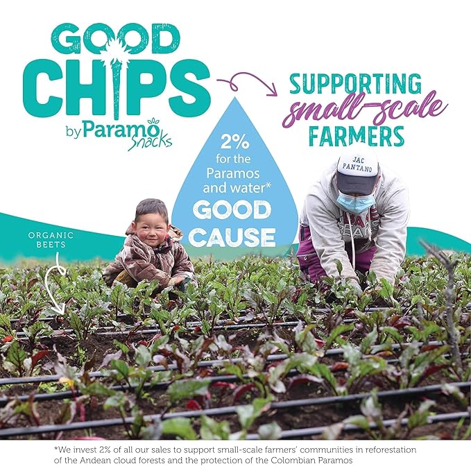 Good Chips Baked Crunchy Apple, Pineapple, Sweet Plantain - Crispy, Oil Free, Healthy, Naturally