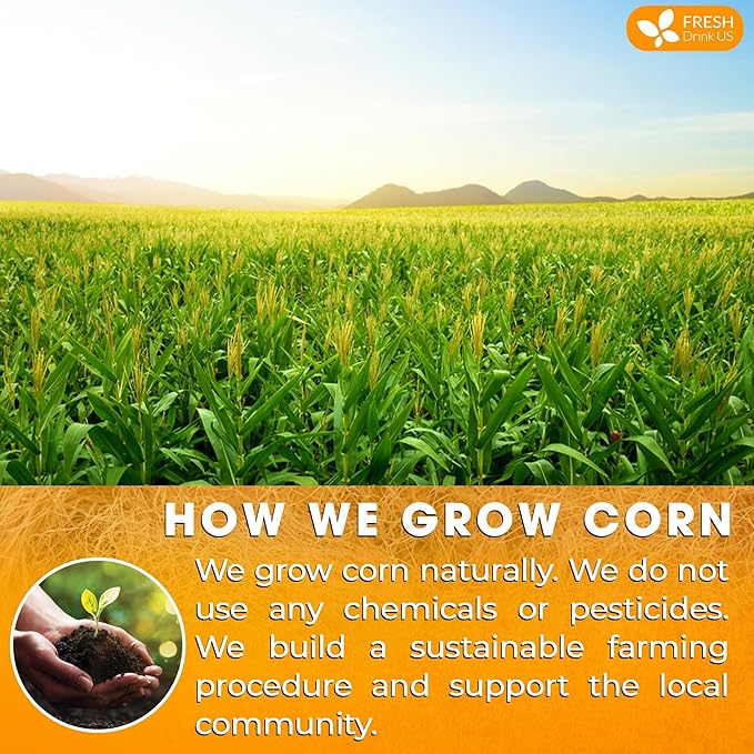 FreshDrinkUS, Premium 135 Tea Bags Corn Silk Tea, 100% Natural & Pure from Corn Silk. Corn Silk