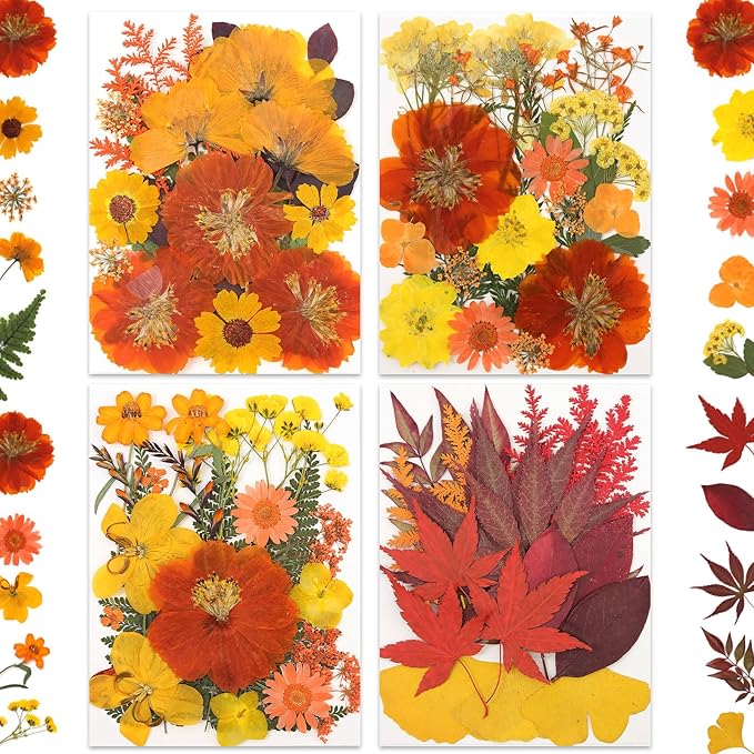 80P Autumn Tone Dried Flowers for Crafts - Real Natural Pressed Flowers in Warm Fall Hues for