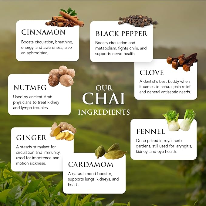 Third Street Inc. Organic Dragon Tongue Ginger Chai Concentrate, 32 Fl. Oz., Black Tea Latte