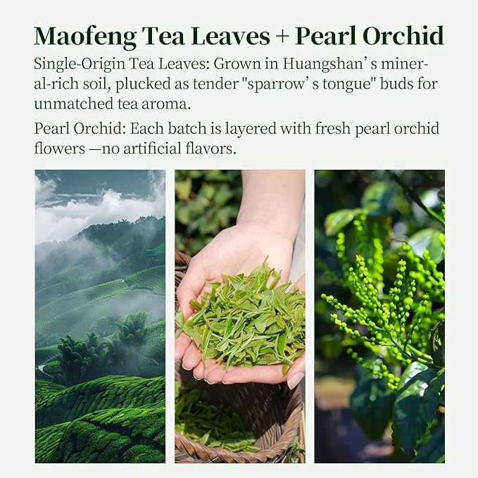 HANFANGLING Pearl Orchid Green Tea Huangshan Maofeng Green Tea Fresh And Refreshing Loose-Leaf Tea