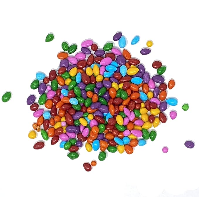 Chocolate Covered Sunflower Seeds Multicolored Candy Coated Treats - Rainbow Party Favors - Sweet