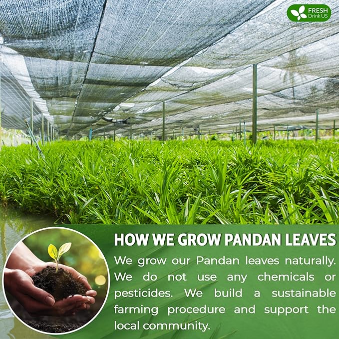 FreshDrinkUS, Premium 30 Pandan Leaf Tea Bags, 100% Natural & Pure from Pandan Leaves. Loose Leaf