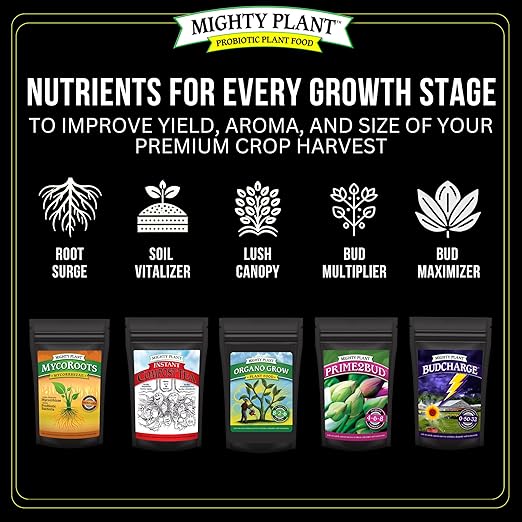 Bloom Booster Flowering Enhancer & Heavy Harvests – High-Density PK Formula – BudCharge 0-50-32 |