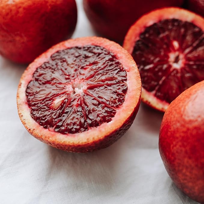 Dehydrated Dried Blood Orange Slices | 45 + Slices | 100% Natural | Blood Orange Wheels For