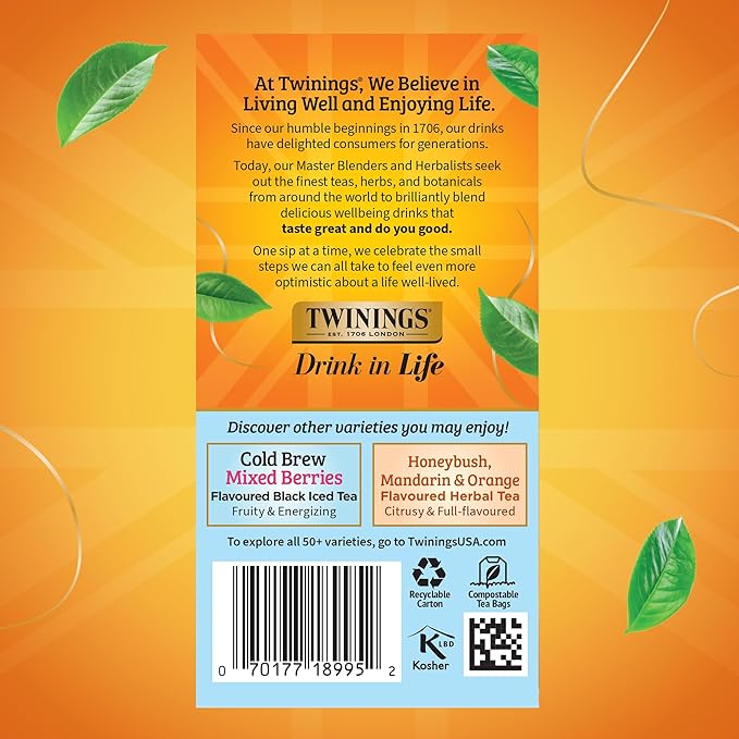 Twinings Peach Cold Brew Iced Tea Bags, 20 Count (Pack of 1), Unsweetened Flavoured Black Tea