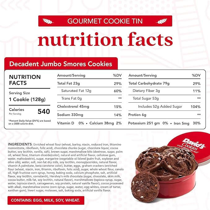 David's Cookies Fresh Baked Decadent Jumbo Smores Cookies Gift Basket Tin - Flavorful Gourmet