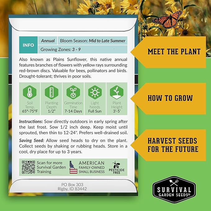 Survival Garden Seeds - Native Prairie Sunflower (Helianthus petiolaris) | Compact Drought Tolerant