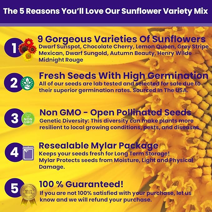NatureZ Edge 2600+ Sunflower Seeds for Planting Bulk Variety Pack, Get More Sunflower Seeds to