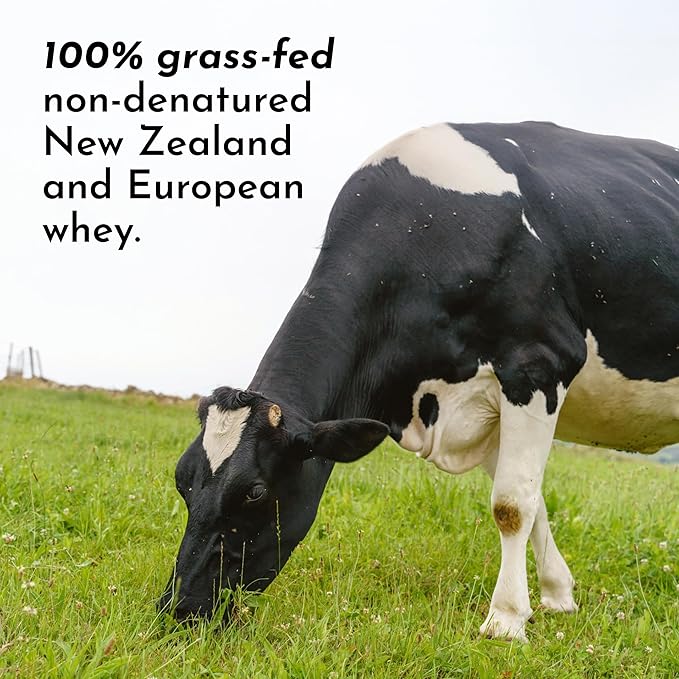 JUST INGREDIENTS Chocolate Protein Powder ??20-Serving Blend with 100% Grass-Fed Whey & Organic
