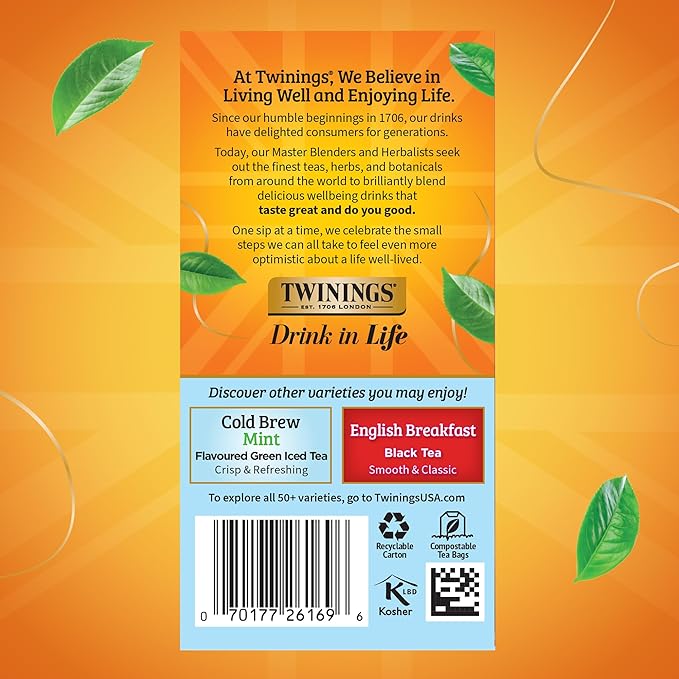 Twinings Mixed Berries Cold Brew Iced Tea Bags, 20 Count (Pack of 1), Unsweetened Flavoured Black