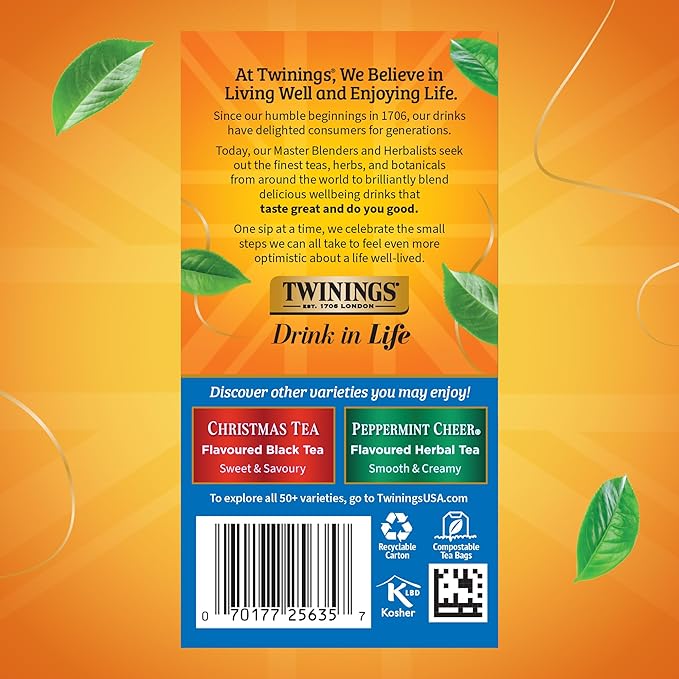 Twinings Winter Spice Herbal Tea Individually Wrapped, 20 Count (Pack of 1), Camomile, Apple