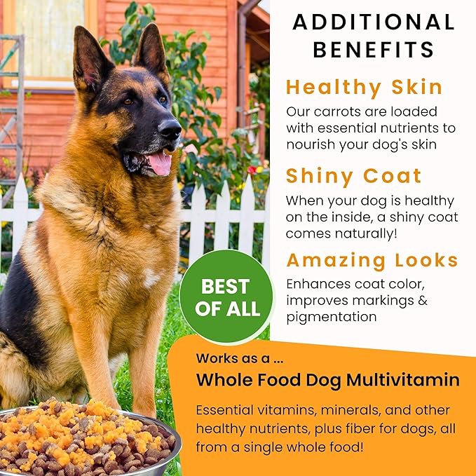 Olewo Original Carrots for Dogs ??Fiber for Perfect Poop, Dehydrated Dog Food Toppers for Picky