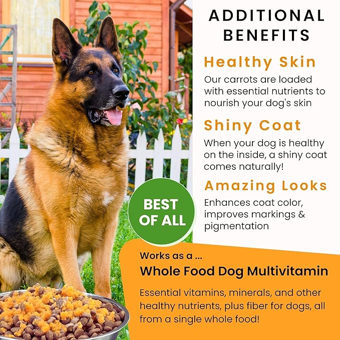 Olewo Original Carrots for Dogs ??Fiber for Perfect Poop, Dog Food Toppers for Picky Eaters