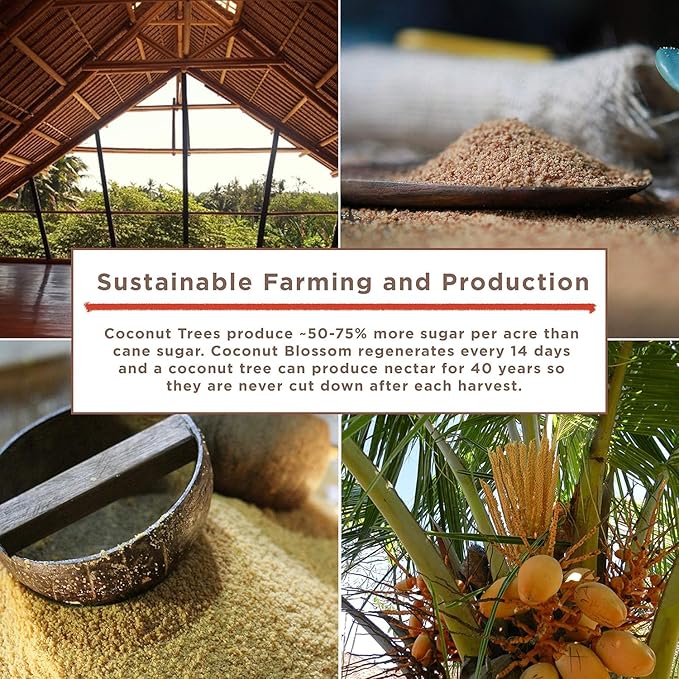 Big Tree Farms Organic Brown Coconut Sugar - Coconut Palm Sugar, Unrefined, Fine Crystals, Cane
