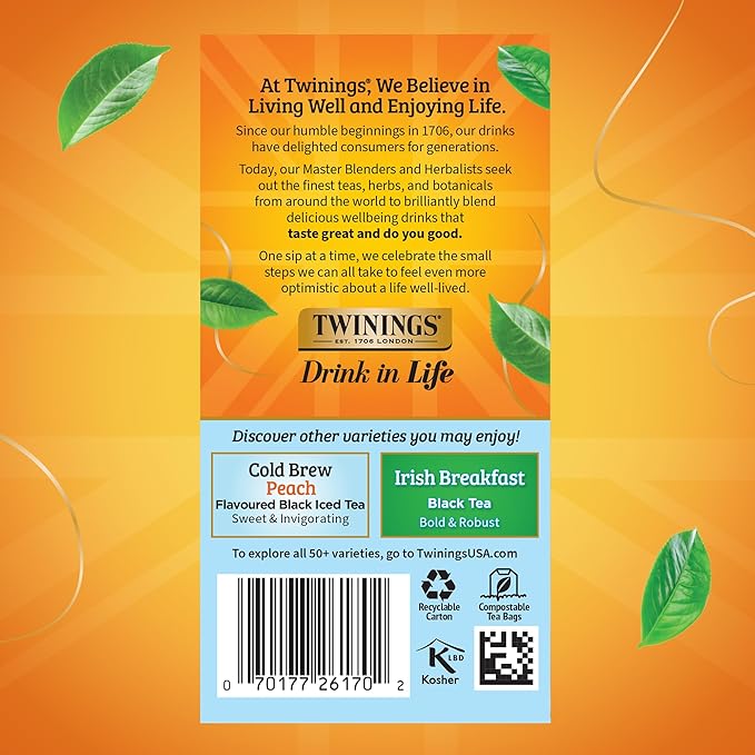 Twinings Mint Green Cold Brew Iced Tea Bags, 20 Count (Pack of 6), Unsweetened Flavoured Green Tea