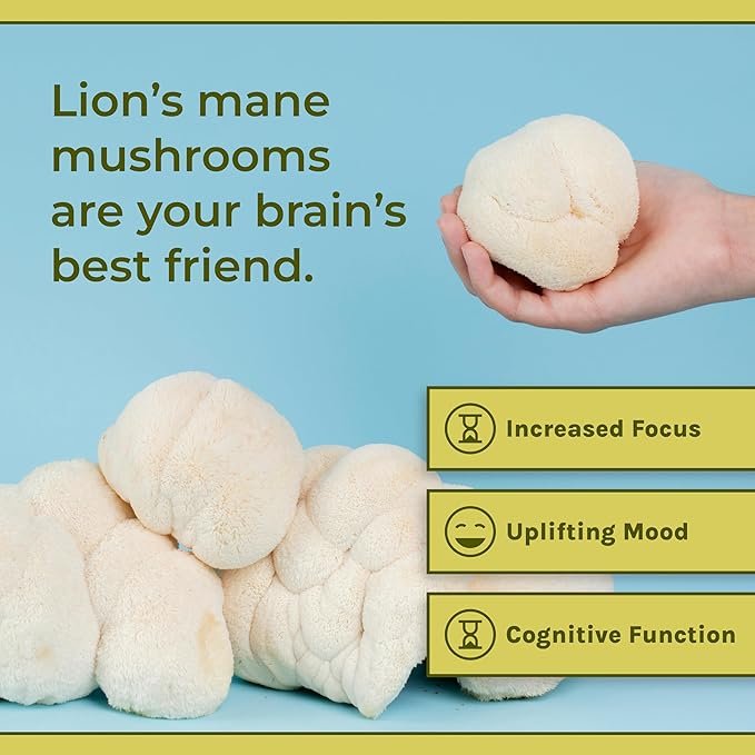Naturealm Lions Mane Mushroom Supplement - Organic Brain Support for Focus Memory Mental Clarity