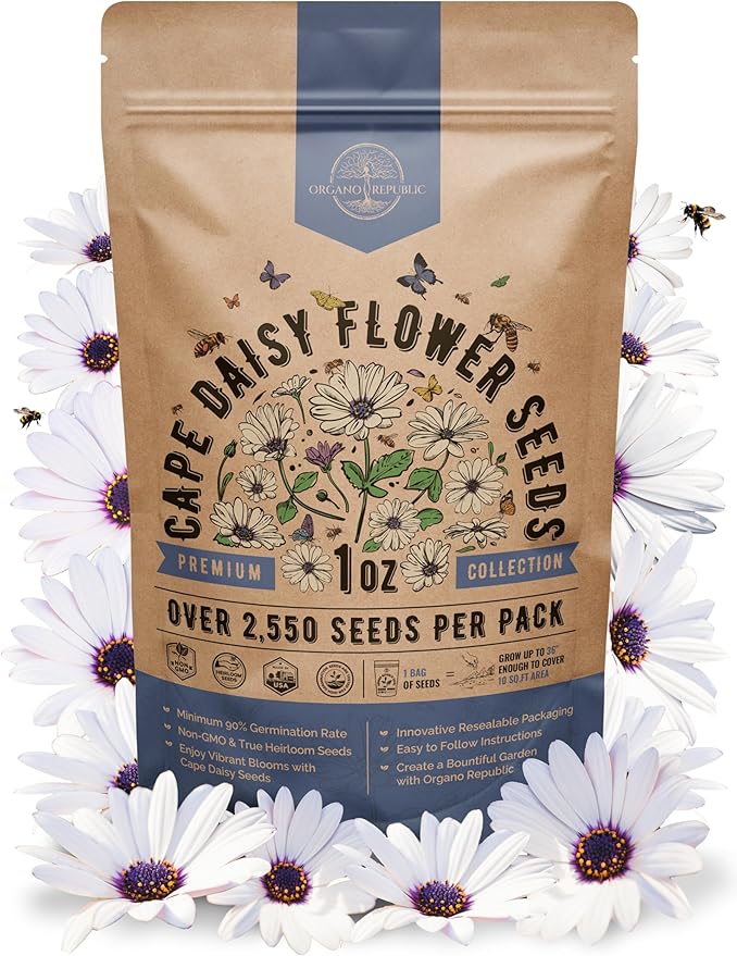 Cape Daisy Flower Seeds Pack 1 oz - Over 2,550 Non-GMO Heirloom Cape Daisy Seeds for Planting