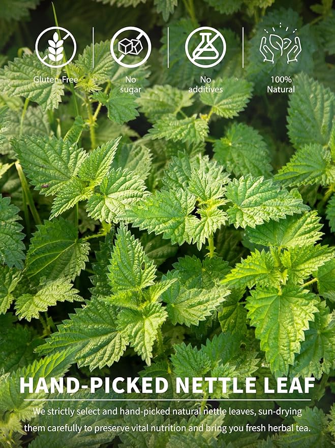 TeeLux Nettle Leaf Tea Bags, Nettle Herbal Tea, Natural Stinging Nettle Tea, Caffeine Free, Mild &