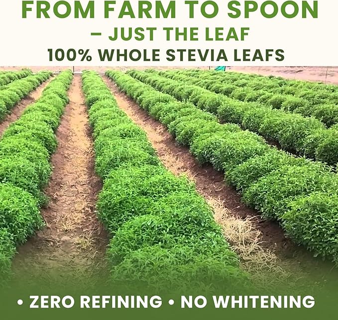 Bixa Botanical Stevia Leaf Powder | Stevia Rebaudiana | 200 GRAMS / 7 OZ | Natural Alternative of