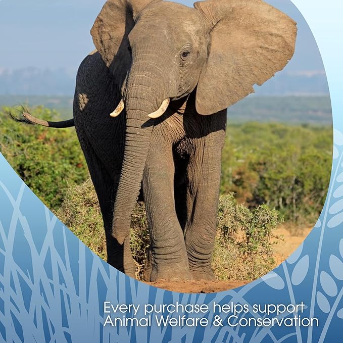 Elephant Vanilla Chai Tea Latte Mix, 64 Oz, Black Tea, Organic Spices, Dairy Free, Serve Hot or
