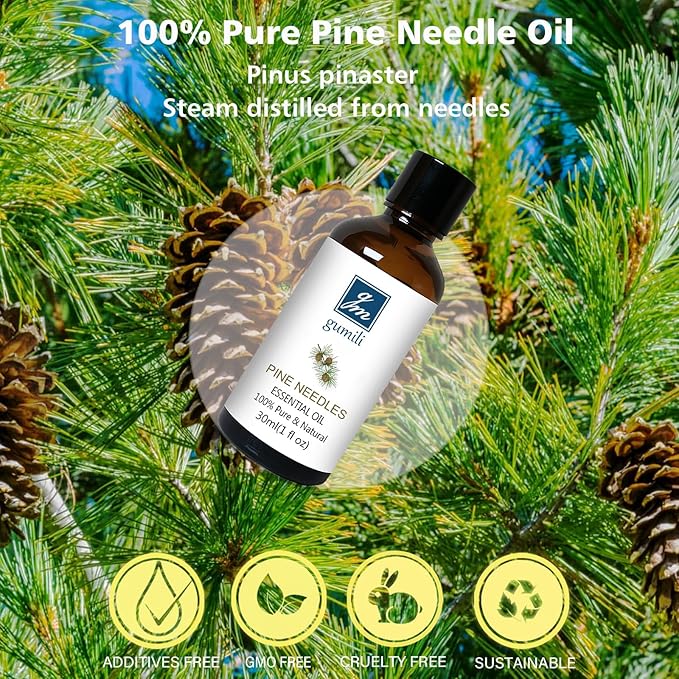 Pine Needle Essential Oil 1 Oz - 100% Pure & Natural Pine Oil for Diffuser, Skin, Massage &