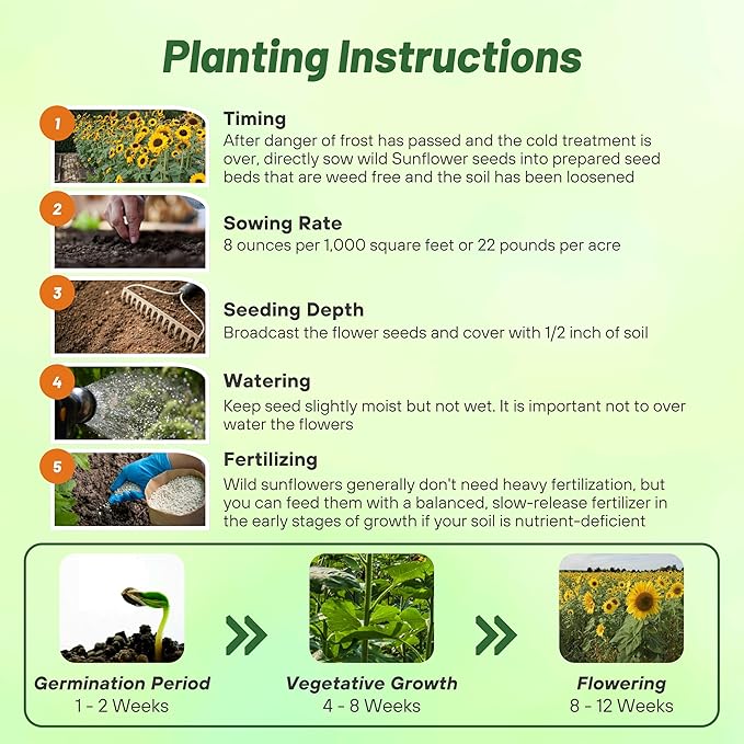 Outsidepride Wild Sunflower Seeds for Planting - 1 lb. Annual, Easy to Grow Flower Seeds w/Vibrant