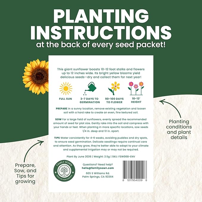 Black Mammoth Sunflower - Large 2,500mg Envelope - 30 Flower Seeds for Planting - Helianthus annuus